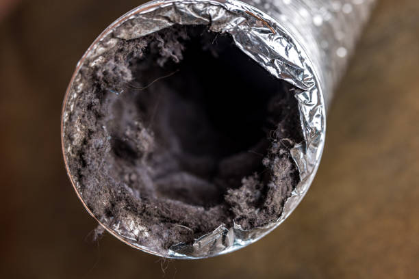 Best Local Air Duct Cleaning Services  in Solon, IA