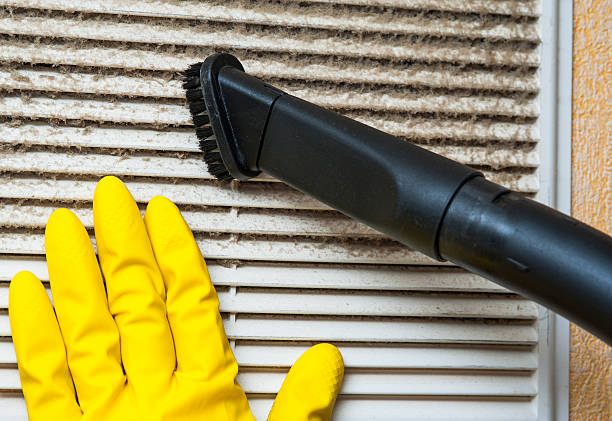 Best Affordable Duct Cleaning Services  in Solon, IA
